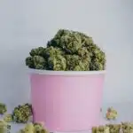 Résine CBD pour l'anxiété : Ce que vous devez savoir Résine CBD pour l'anxiété : Ce que vous devez savoir